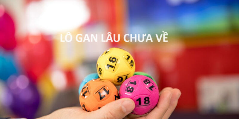 Tìm hiểu lô gan bao lâu chưa về?